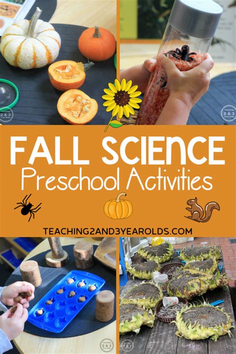 Explore Nature With These Preschool Fall Science Activities Fall Science Activities Preschoolers - Fall Science Activities Preschoolers