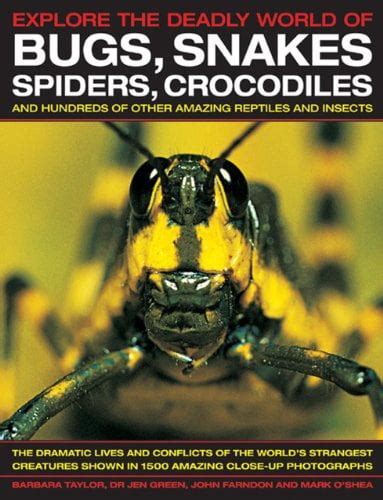 Explore The Deadly World Of Bugs Snakes Spiders C