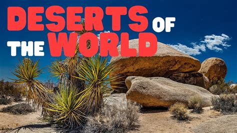 Explore The Fascinating World Of Desert Animals Coloring Desert Animals Coloring Pages - Desert Animals Coloring Pages