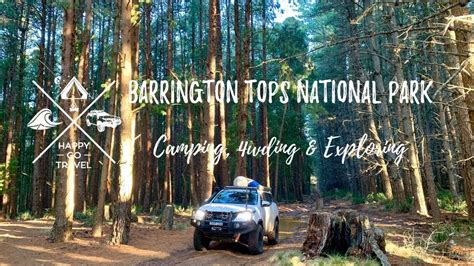 Explore Barrington Tops Camping – Your Dog’s New Favorite Adventure Spot!