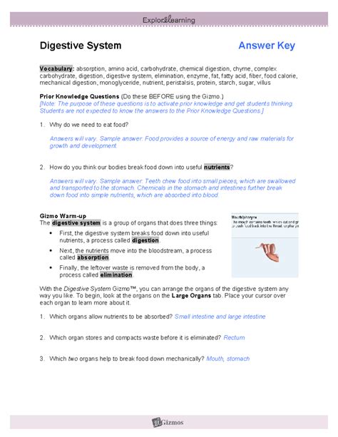 Read Explore Learning Digestive System Answer Key 