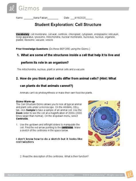 Explorelearning Student Exploration Cell Structure Answer Key