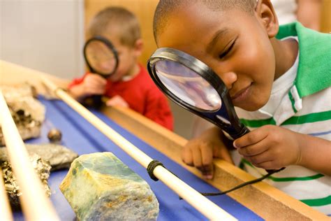 Exploring And Observing Science Learning Hub Science Observation Activities - Science Observation Activities