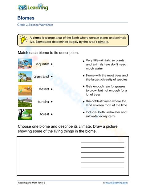 Exploring Biomes Worksheet