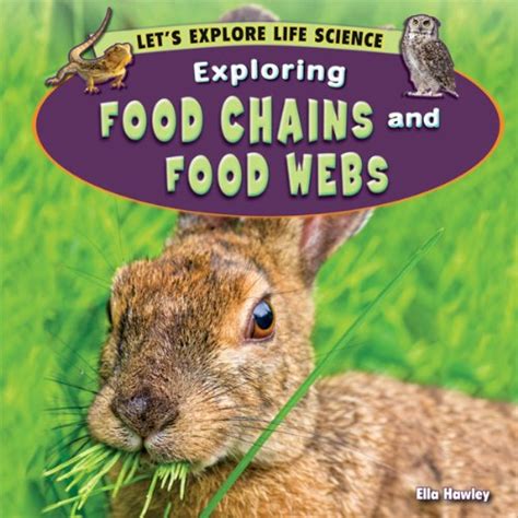 Exploring Food Chains Let X27 S Talk Science Food Chain Lesson Plans - Food Chain Lesson Plans