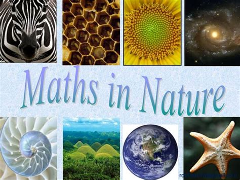 Exploring Math In Nature Free Math Scavenger Hunt Math Scavenger Hunt High School - Math Scavenger Hunt High School