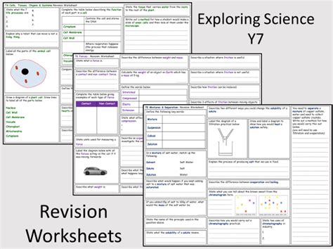 exploring science 7 revision sheets