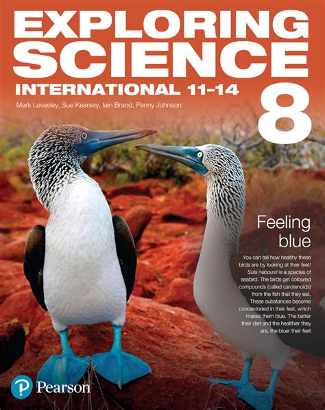 exploring science 8bd pearson education answers