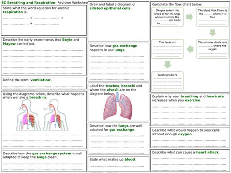 exploring science revision sheets