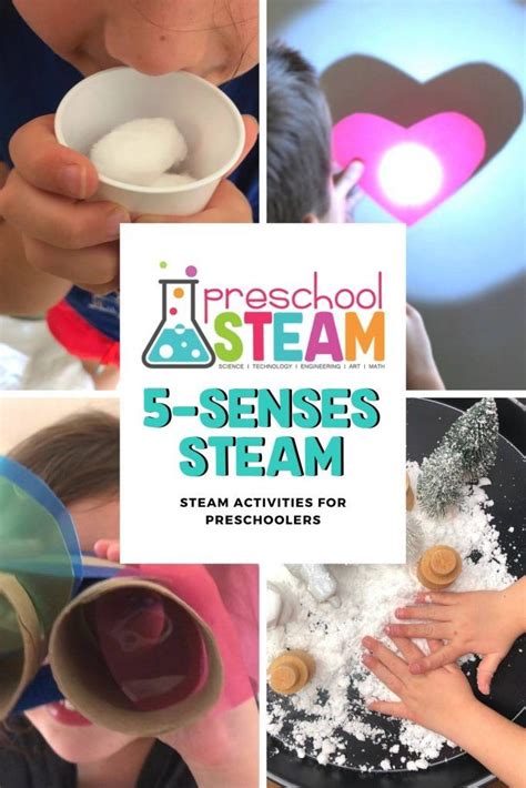 Exploring The 5 Senses With Steam Preschool Steam 5 Senses Activity For Kindergarten - 5 Senses Activity For Kindergarten