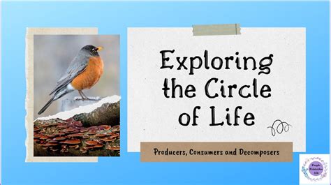 Exploring The Circle Of Life Food Chain Science Food Science Lessons - Food Science Lessons