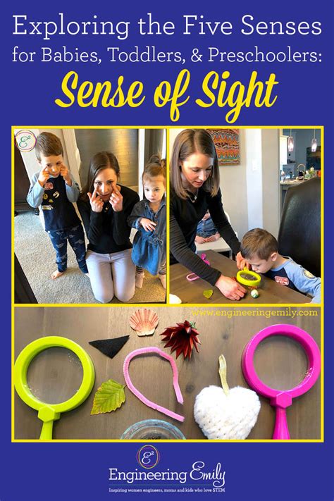 Exploring The Five Senses For Babies Toddlers And Sense Of Sight For Kids - Sense Of Sight For Kids