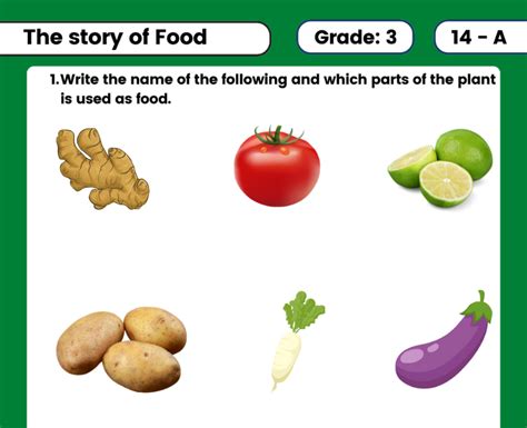 Exploring The Story Of Food With Class 3 Food Worksheet For Grade 3 - Food Worksheet For Grade 3