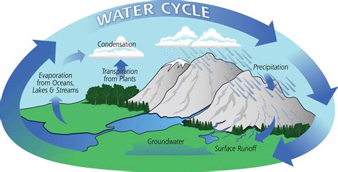 Exploring The Water Cycle Precipitation Education The Water Cycle 4th Grade - The Water Cycle 4th Grade