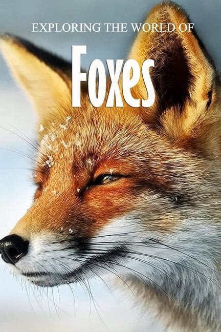 Read Exploring The World Of Foxes 