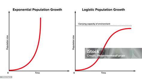 Exponential Vs Logistic Growth