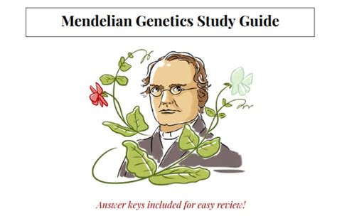Extending Mendelian Genetics Study Guide Answers