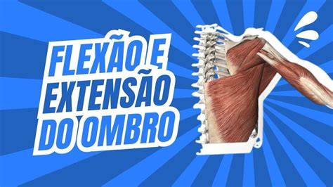Extensao De Ombro