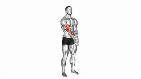 Extension Supination