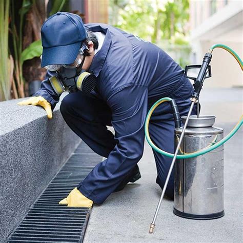 exterminators miami florida