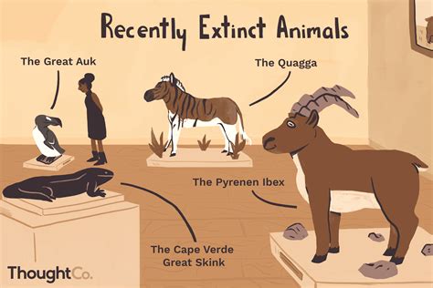 Extinct Animals In India