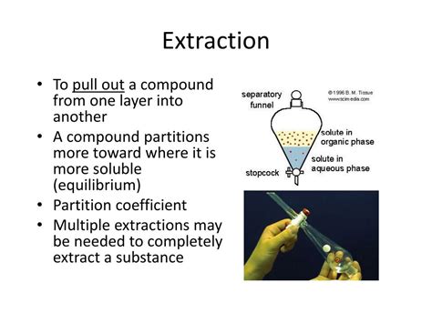 extraction meaning