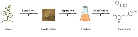 extraction separation and identification of chemical