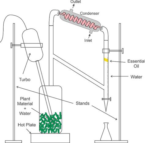 Download Extraction Of Essential Oil And Its Applications 