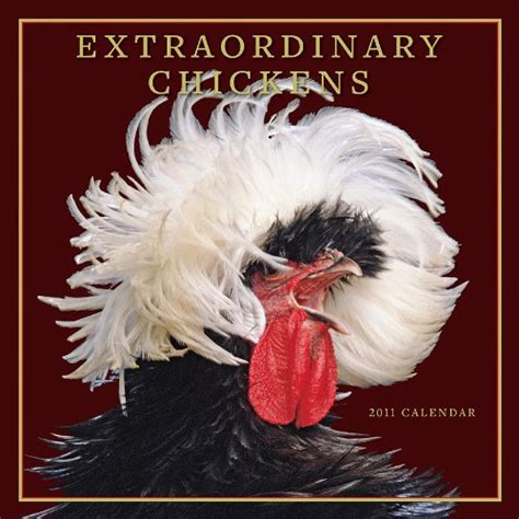 extraordinary chickens 2011 calendar