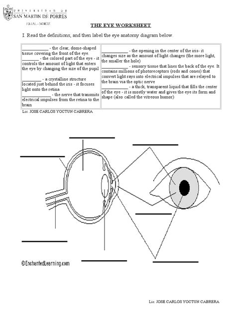 Eye Diagram Worksheets 99worksheets The Eye Worksheet - The Eye Worksheet
