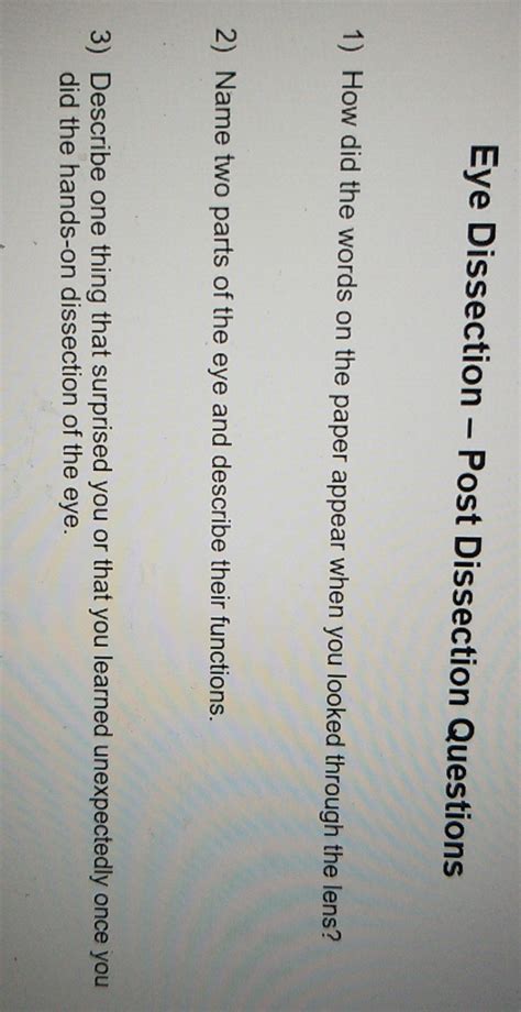 Eye Dissection Lab Questions