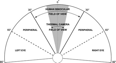 Eye View Angle