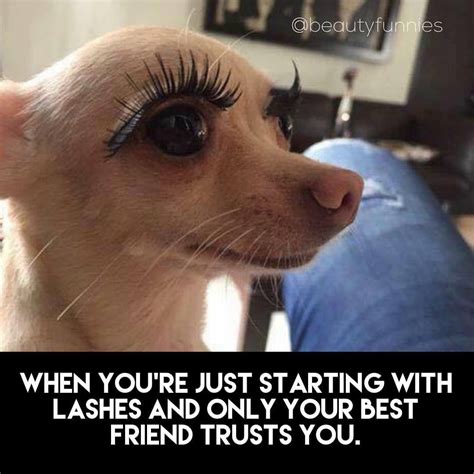 eyelash Memes & GIFs - Imgflip