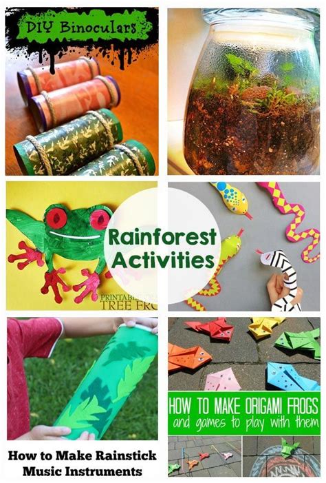Eyfs Jungle And Rainforest Science Experiments Resource Pack Jungle Science Activities For Preschoolers - Jungle Science Activities For Preschoolers