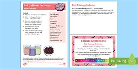 Eyfs Red Cabbage Indicator Kitchen Science Experiment Twinkl Red Cabbage Indicator Experiment Worksheet - Red Cabbage Indicator Experiment Worksheet