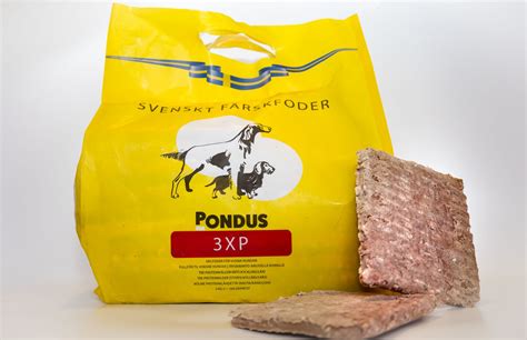 färskfoder till allergisk hund