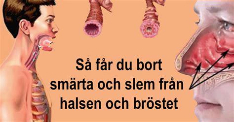 få bort slem