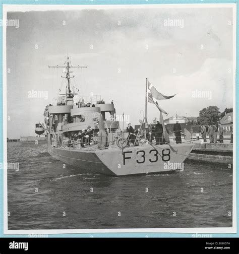 F 338