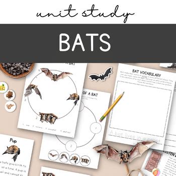 Download F Bat Study Guide 