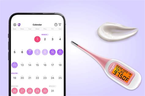 bet7k: Como Apostar nas Apostas Desportivas Online com Garantia de Segurança e Proteção - Foto 2