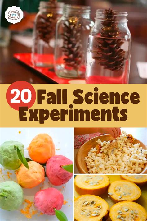 Fabulous Fall Science Experiments How Wee Learn Fall Science Activities For Preschool - Fall Science Activities For Preschool
