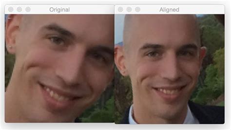 face alignment with opencv and python pyimagesearch
