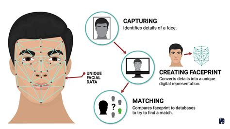 Face Data Model Example Pdf