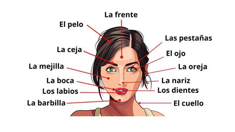 Face In Spanish