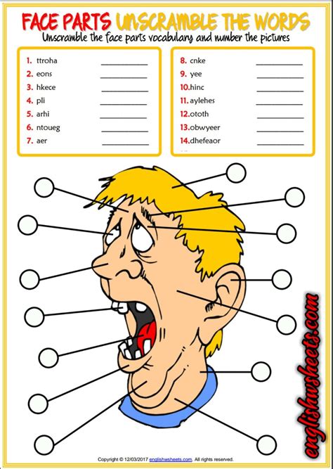 Face Parts Esl Vocabulary Worksheets Englishwsheets Com Parts Of The Face Worksheet - Parts Of The Face Worksheet