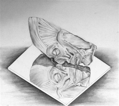 face reflection drawing by ethancsaszar on DeviantArt