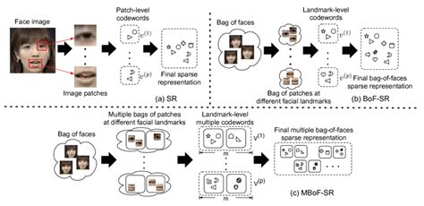 Face Retrieval By Sparse Coding Matlab Code