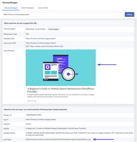 Facebook Website Debugger