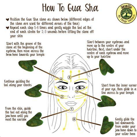 facial gua sha the definitive guide to improve bl