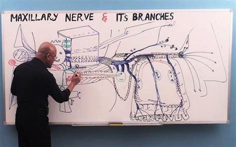 facial nerve palsy by dr najeeb biography